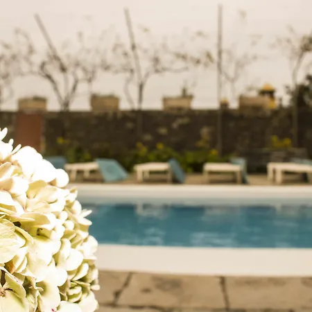 Rosas Hotel Los Realejos